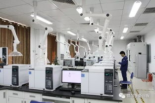 一季度鄂爾多斯經濟運行總體平穩向好，計算機系統集成產業展現活力